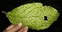  ( - BioBot05155)  @11 [ ] Copyright (2010) Unspecified Unspecified