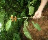  ( - BioBot05156)  @11 [ ] Copyright (2010) Unspecified Unspecified