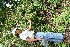  ( - BioBot05158)  @11 [ ] Copyright (2010) Unspecified Unspecified