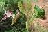  ( - BioBot05158)  @11 [ ] Copyright (2010) Unspecified Unspecified