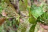  ( - BioBot05158)  @11 [ ] Copyright (2010) Unspecified Unspecified