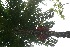  ( - BioBot05163)  @11 [ ] Copyright (2010) Unspecified Unspecified