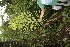  ( - BioBot05163)  @11 [ ] Copyright (2010) Unspecified Unspecified