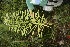  ( - BioBot05163)  @11 [ ] Copyright (2010) Unspecified Unspecified