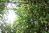  ( - BioBot05164)  @11 [ ] Copyright (2010) Unspecified Unspecified