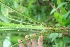  ( - BioBot05164)  @11 [ ] Copyright (2010) Unspecified Unspecified