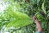  ( - BioBot05164)  @11 [ ] Copyright (2010) Unspecified Unspecified