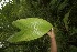  ( - BioBot05164)  @11 [ ] Copyright (2010) Unspecified Unspecified