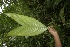  ( - BioBot05164)  @11 [ ] Copyright (2010) Unspecified Unspecified