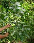 ( - BioBot05174)  @11 [ ] Copyright (2010) Unspecified Unspecified