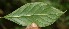  ( - BioBot05174)  @11 [ ] Copyright (2010) Unspecified Unspecified