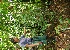  ( - BioBot05175)  @11 [ ] Copyright (2010) Unspecified Unspecified