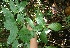  ( - BioBot05176)  @11 [ ] Copyright (2010) Unspecified Unspecified