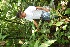  ( - BioBot05192)  @11 [ ] Copyright (2010) Unspecified Unspecified