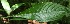  ( - BioBot05192)  @11 [ ] Copyright (2010) Unspecified Unspecified