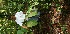  ( - BioBot05197)  @11 [ ] Copyright (2010) Unspecified Unspecified