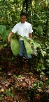  ( - BioBot05197)  @11 [ ] CreativeCommons - Attribution Non-Commercial Share-Alike (2010) Daniel H. Janzen Guanacaste Dry Forest Conservation Fund