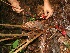  ( - BioBot05197)  @11 [ ] Copyright (2010) Unspecified Unspecified