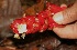  ( - BioBot05197)  @11 [ ] Copyright (2010) Unspecified Unspecified