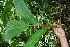  ( - BioBot05197)  @11 [ ] Copyright (2010) Unspecified Unspecified