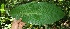  ( - BioBot05197)  @11 [ ] Copyright (2010) Unspecified Unspecified