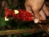  ( - BioBot05198)  @11 [ ] Copyright (2010) Unspecified Unspecified