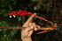  ( - BioBot05198)  @11 [ ] Copyright (2010) Unspecified Unspecified