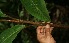  ( - BioBot05198)  @11 [ ] Copyright (2010) Unspecified Unspecified