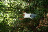  ( - BioBot05200)  @11 [ ] Copyright (2010) Unspecified Unspecified