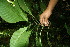  ( - BioBot05200)  @11 [ ] Copyright (2010) Unspecified Unspecified