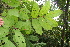  ( - BioBot05212)  @11 [ ] Copyright (2010) Unspecified Unspecified