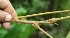  ( - BioBot05212)  @11 [ ] Copyright (2010) Unspecified Unspecified