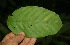  ( - BioBot05212)  @11 [ ] Copyright (2010) Unspecified Unspecified