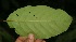  ( - BioBot05212)  @11 [ ] Copyright (2010) Unspecified Unspecified