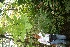  ( - BioBot05213)  @11 [ ] Copyright (2010) Unspecified Unspecified