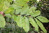  ( - BioBot05213)  @11 [ ] Copyright (2010) Unspecified Unspecified