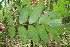  ( - BioBot05214)  @11 [ ] Copyright (2010) Unspecified Unspecified