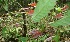  ( - BioBot05214)  @11 [ ] Copyright (2010) Unspecified Unspecified