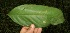  ( - BioBot05214)  @11 [ ] Copyright (2010) Unspecified Unspecified