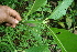  ( - BioBot05215)  @11 [ ] Copyright (2010) Unspecified Unspecified