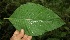  ( - BioBot05215)  @11 [ ] Copyright (2010) Unspecified Unspecified