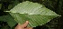  ( - BioBot05215)  @11 [ ] Copyright (2010) Unspecified Unspecified