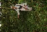  ( - BioBot05216)  @11 [ ] Copyright (2010) Unspecified Unspecified