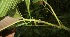  ( - BioBot05216)  @11 [ ] Copyright (2010) Unspecified Unspecified