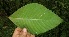  ( - BioBot05216)  @11 [ ] Copyright (2010) Unspecified Unspecified