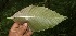  ( - BioBot05216)  @11 [ ] Copyright (2010) Unspecified Unspecified