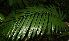  ( - BioBot05226)  @11 [ ] Copyright (2010) Unspecified Unspecified