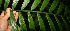  ( - BioBot05226)  @11 [ ] Copyright (2010) Unspecified Unspecified