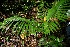  ( - BioBot05227)  @11 [ ] Copyright (2010) Unspecified Unspecified