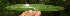  ( - BioBot05227)  @11 [ ] Copyright (2010) Unspecified Unspecified